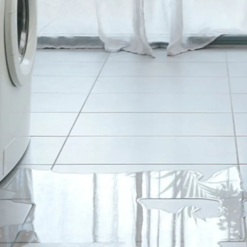 Appliance Leak Cleanup in Pocola, OK