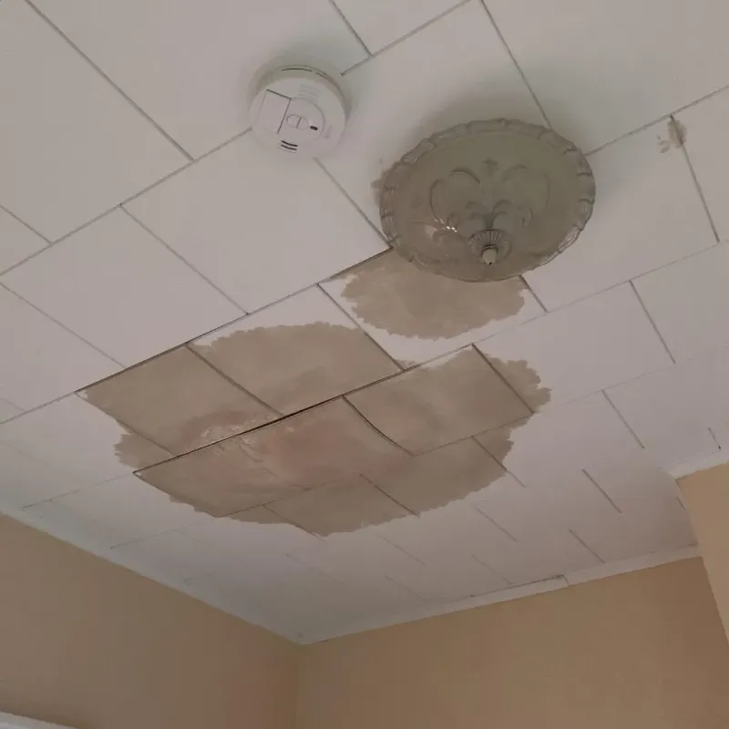 Ceiling Water Damage Repair in Pocola, OK