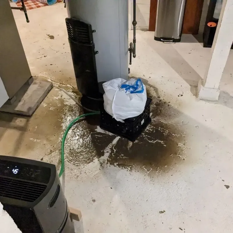 Sewage Backup Cleanup Service in Pocola, OK